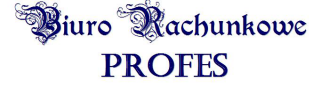 Logo Biegły Rewident