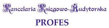 Logo Biegły Rewident